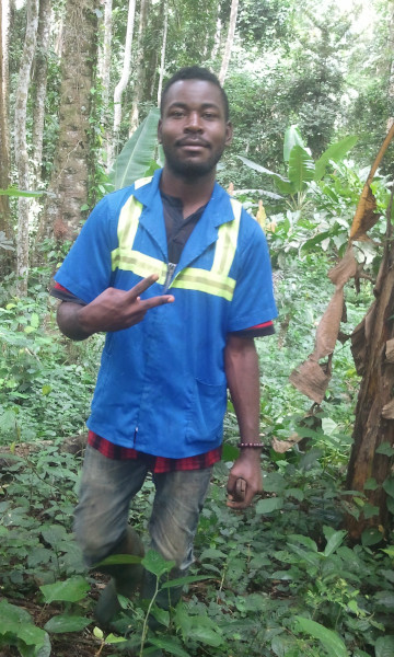 in forest